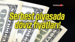 Serbest piyasada döviz fiyatları!