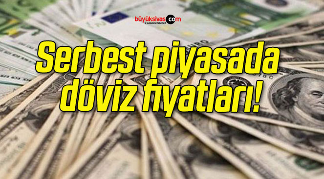 Serbest piyasada döviz fiyatları!