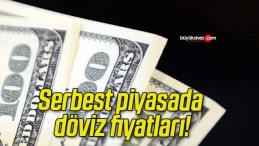 Serbest piyasada döviz fiyatları!