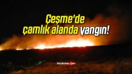 Çeşme’de çamlık alanda yangın!