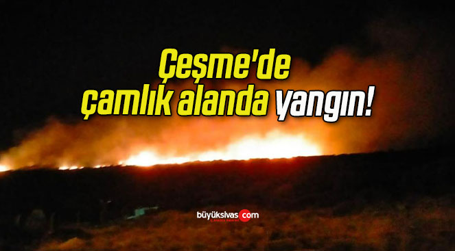 Çeşme’de çamlık alanda yangın!