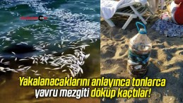 Yakalanacaklarını anlayınca tonlarca yavru mezgiti döküp kaçtılar!