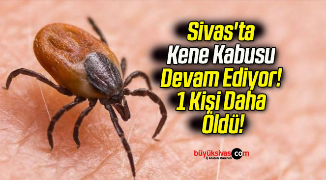 kabus