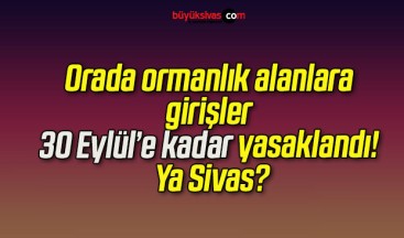 Orada ormanlık alanlara girişler 30 Eylül’e kadar yasaklandı! Ya Sivas?