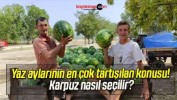 Yaz aylarının en çok tartışılan konusu! Karpuz nasıl seçilir?