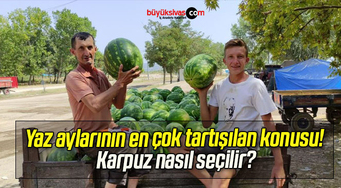 Yaz aylarının en çok tartışılan konusu! Karpuz nasıl seçilir?