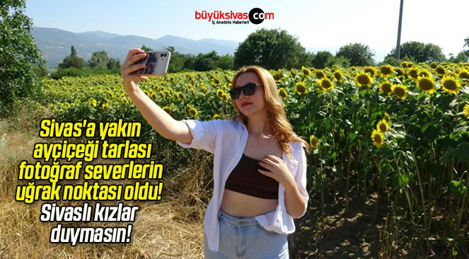 Sivas’a yakın ayçiçeği tarlası fotoğraf severlerin uğrak noktası oldu! Sivaslı kızlar duymasın!