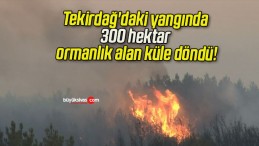 Tekirdağ’daki yangında 300 hektar ormanlık alan küle döndü!