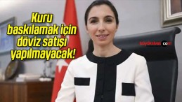 Kuru baskılamak için döviz satışı yapılmayacak!