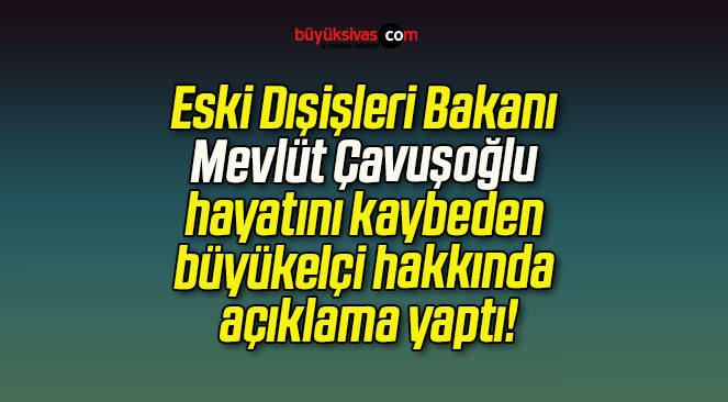 Eski Dışişleri Bakanı Mevlüt Çavuşoğlu hayatını kaybeden büyükelçi hakkında açıklama yaptı!