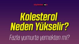 Kolesterol Neden Yükselir?