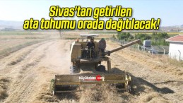 Sivas’tan getirilen ata tohumu orada dağıtılacak!