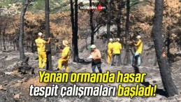 Yanan ormanda hasar tespit çalışmaları başladı!