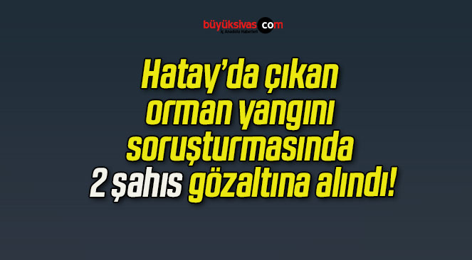 Hatay’da çıkan orman yangını soruşturmasında 2 şahıs gözaltına alındı!