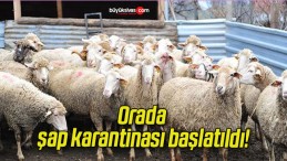 Orada şap karantinası başlatıldı!