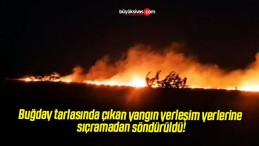 Buğday tarlasında çıkan yangın yerleşim yerlerine sıçramadan söndürüldü!