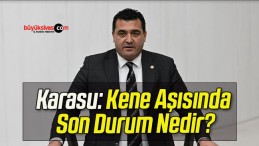 Karasu: Kene Aşısında Son Durum Nedir? 