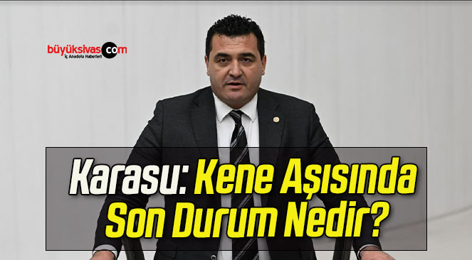 Karasu: Kene Aşısında Son Durum Nedir? 