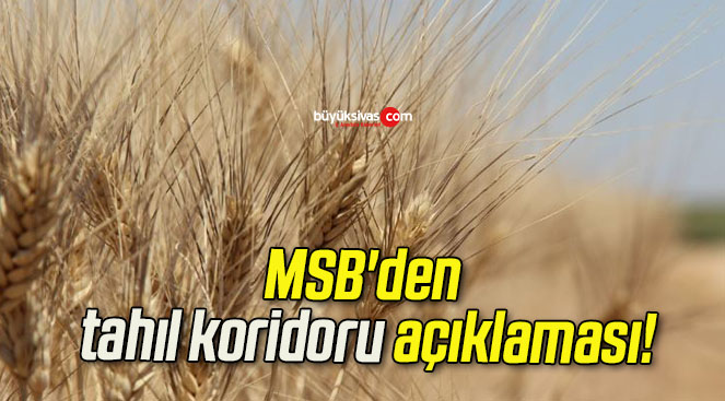 MSB’den tahıl koridoru açıklaması!