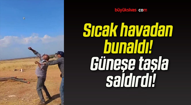taşla