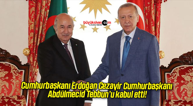 Cumhurbaşkanı Erdoğan Cezayir Cumhurbaşkanı Abdülmecid Tebbun’u kabul etti!