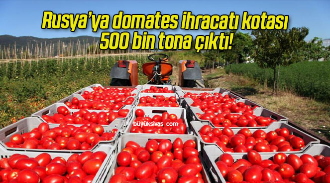 Rusya’ya domates ihracatı kotası 500 bin tona çıktı!