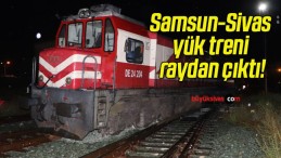 Samsun-Sivas yük treni raydan çıktı!