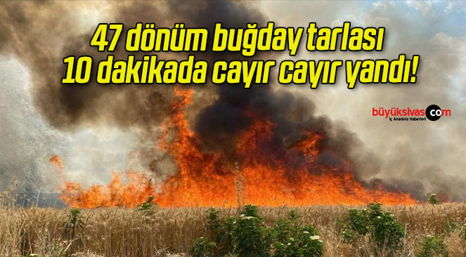 47 dönüm buğday tarlası 10 dakikada cayır cayır yandı!