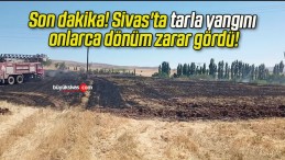 Son dakika! Sivas’ta tarla yangını onlarca dönüm zarar gördü!