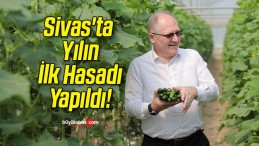 Sivas’ta Yılın İlk Hasadı Yapıldı!