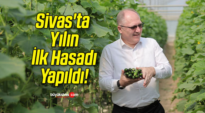 Sivas’ta Yılın İlk Hasadı Yapıldı!