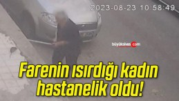 Farenin ısırdığı kadın hastanelik oldu!