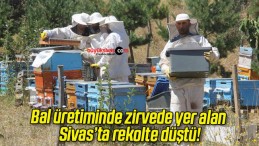 Bal üretiminde zirvede yer alan Sivas’ta rekolte düştü!