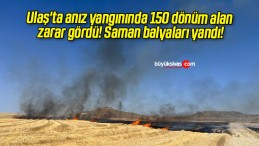 Ulaş’ta anız yangınında 150 dönüm alan zarar gördü! Saman balyaları yandı!