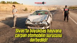 Sivas’ta büyükbaş hayvana çarpan otomobilin sürücüsü darbedildi!