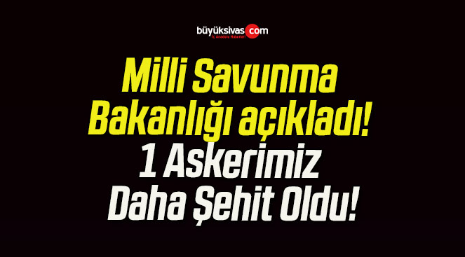 Milli Savunma Bakanlığı açıkladı! 1 Askerimiz Daha Şehit Oldu!