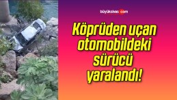 Köprüden uçan otomobildeki sürücü yaralandı!