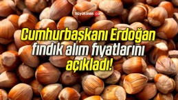 Cumhurbaşkanı Erdoğan fındık alım fiyatlarını açıkladı!