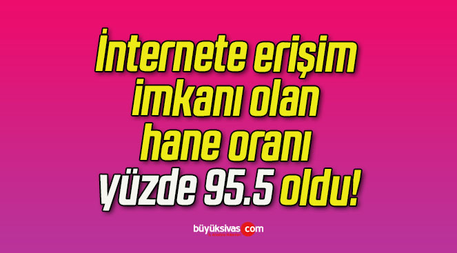 İnternete erişim imkanı olan hane oranı yüzde 95.5 oldu!