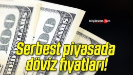 Serbest piyasada döviz fiyatları!