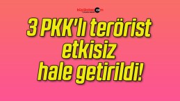 3 PKK’lı terörist etkisiz hale getirildi!