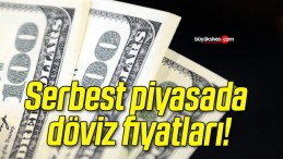 Serbest piyasada döviz fiyatları!