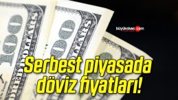 Serbest piyasada döviz fiyatları!