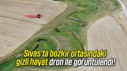 Sivas’ta bozkır ortasındaki gizli hayat dron ile görüntülendi!