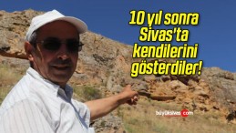 10 yıl sonra Sivas’ta kendilerini gösterdiler!