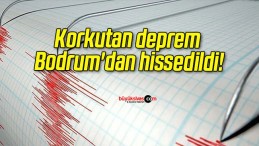 Korkutan deprem Bodrum’dan hissedildi!