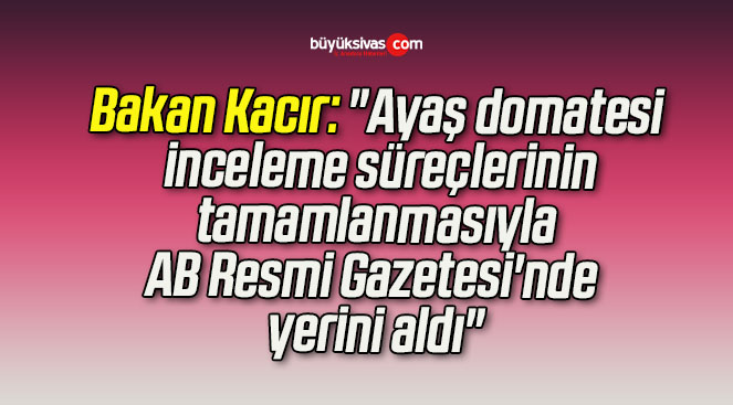 Bakan Kacır: “Ayaş domatesi, inceleme süreçlerinin tamamlanmasıyla AB Resmi Gazetesi’nde yerini aldı”