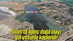 Sivas’ta ilginç doğa olayı göl yosunla kaplandı!