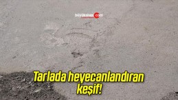 Tarlada heyecanlandıran keşif!