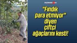 “Fındık para etmiyor” diyen çiftçi ağaçlarını kesti!